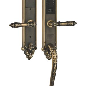 Khóa đại sảnh tân cổ Kassler KL-969GR